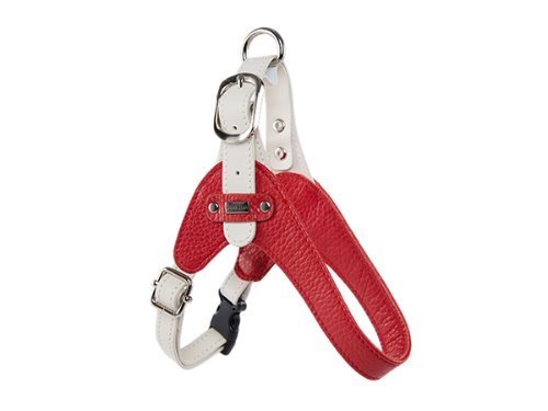 [HARNESS] PALETTE - RED/WHITE